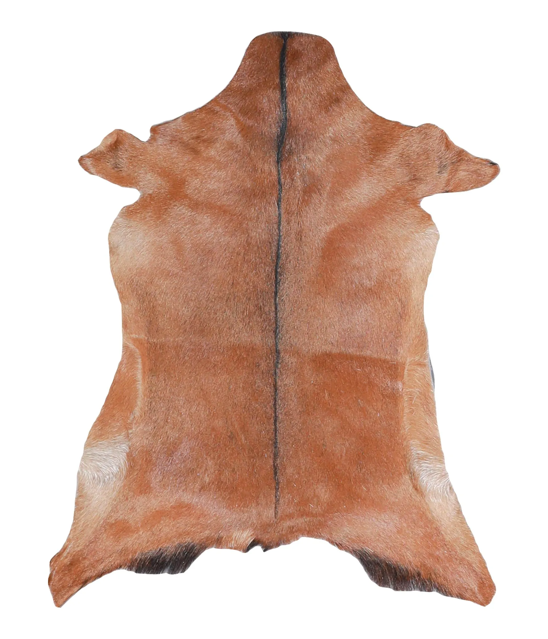 Goatskin Approx 2'3 #A27776 by Hudson Hides