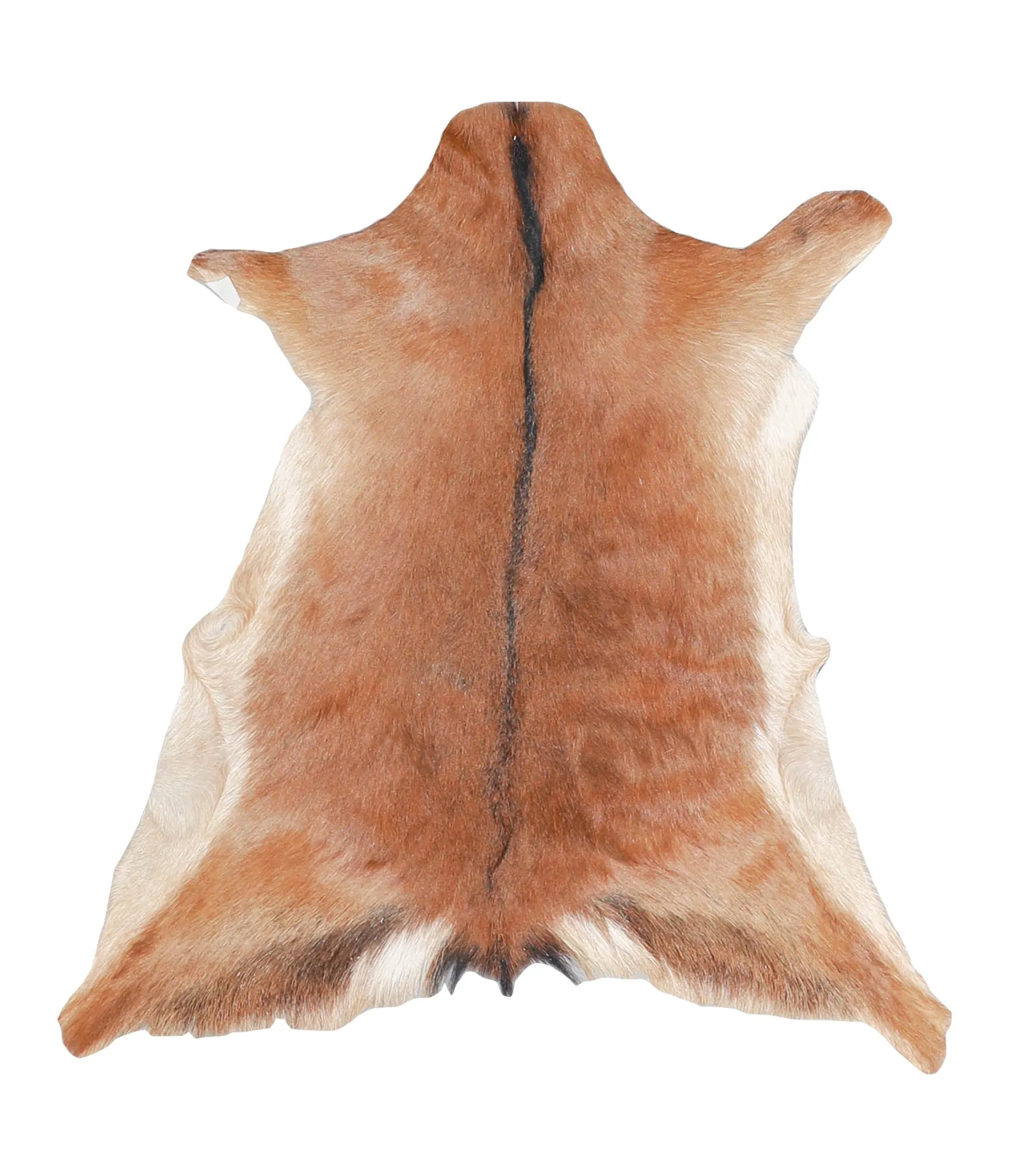 Goatskin Approx 2'3 #A27784 by Hudson Hides