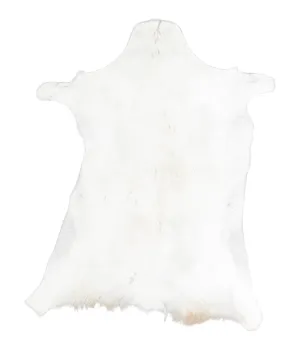 Goatskin Approx 2'3 #A28347 by Hudson Hides